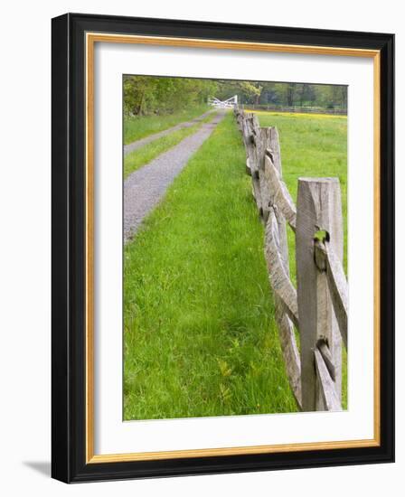 Split Rail Fence and Farm Road, Essex County, Ipswich, Massachusetts, USA-Jerry & Marcy Monkman-Framed Photographic Print