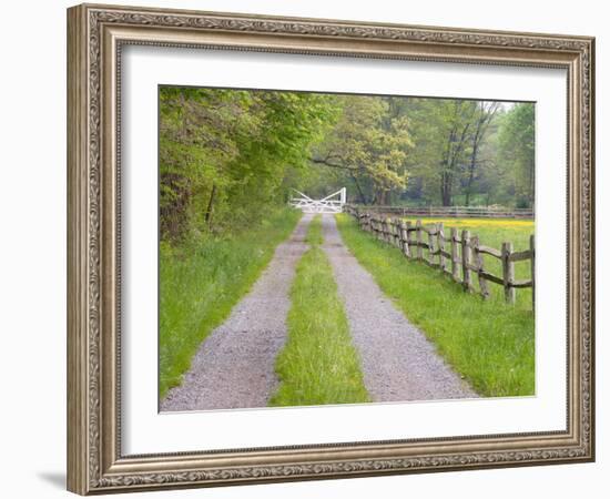 Split Rail Fence and Farm Road, Ipswich, Massachusetts, USA-Jerry & Marcy Monkman-Framed Photographic Print