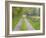 Split Rail Fence and Farm Road, Ipswich, Massachusetts, USA-Jerry & Marcy Monkman-Framed Photographic Print