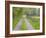 Split Rail Fence and Farm Road, Ipswich, Massachusetts, USA-Jerry & Marcy Monkman-Framed Photographic Print