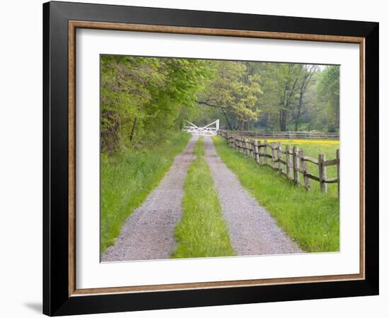 Split Rail Fence and Farm Road, Ipswich, Massachusetts, USA-Jerry & Marcy Monkman-Framed Photographic Print