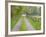 Split Rail Fence and Farm Road, Ipswich, Massachusetts, USA-Jerry & Marcy Monkman-Framed Photographic Print