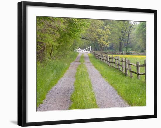 Split Rail Fence and Farm Road, Ipswich, Massachusetts, USA-Jerry & Marcy Monkman-Framed Photographic Print