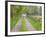 Split Rail Fence and Farm Road, Ipswich, Massachusetts, USA-Jerry & Marcy Monkman-Framed Photographic Print