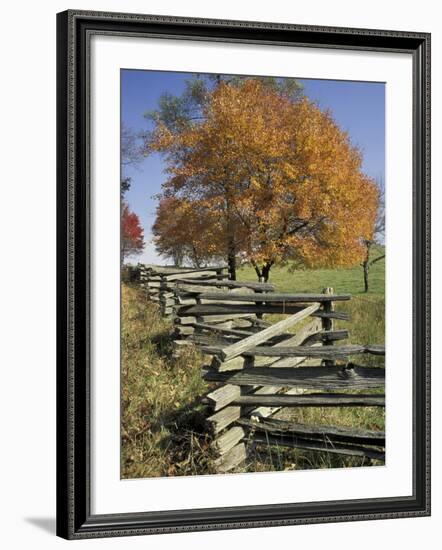 Split Rail Fence and Tree, Hensley Settlement, Cumberland Gap National Historic Park, Kentucky, USA-Adam Jones-Framed Photographic Print