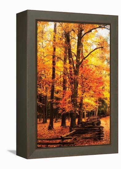 Split Rail Fence I-Alan Hausenflock-Framed Premier Image Canvas