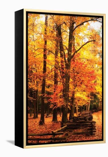 Split Rail Fence I-Alan Hausenflock-Framed Premier Image Canvas