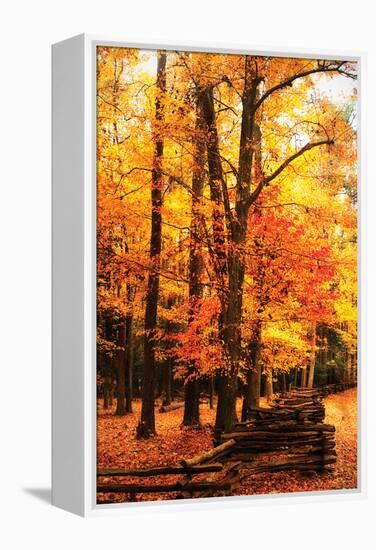 Split Rail Fence I-Alan Hausenflock-Framed Premier Image Canvas