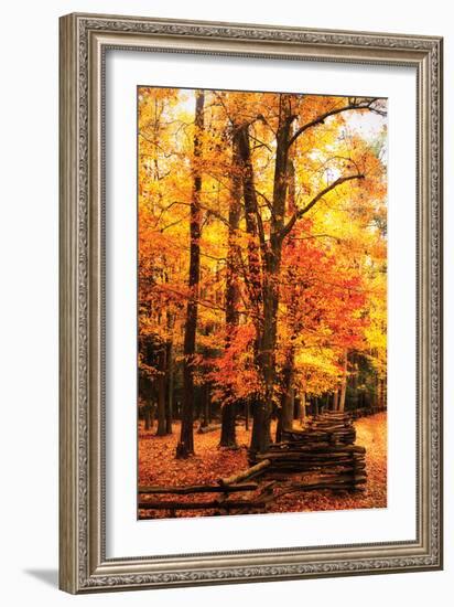 Split Rail Fence I-Alan Hausenflock-Framed Photographic Print