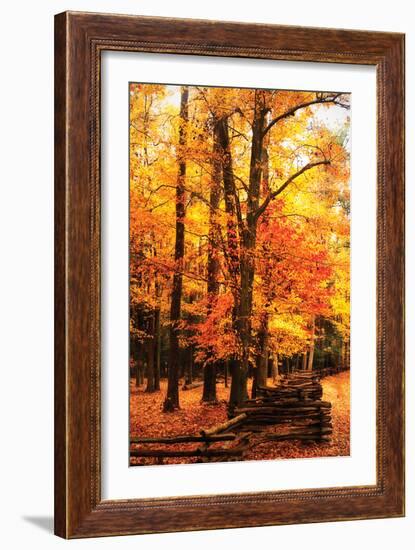 Split Rail Fence I-Alan Hausenflock-Framed Photographic Print