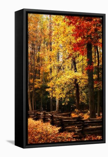 Split Rail Fence II-Alan Hausenflock-Framed Premier Image Canvas