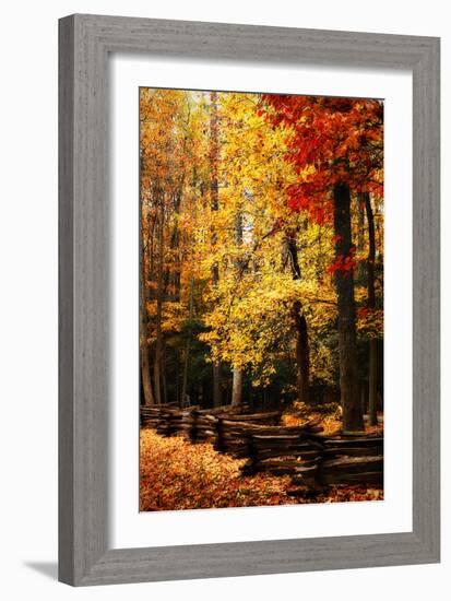 Split Rail Fence II-Alan Hausenflock-Framed Photographic Print