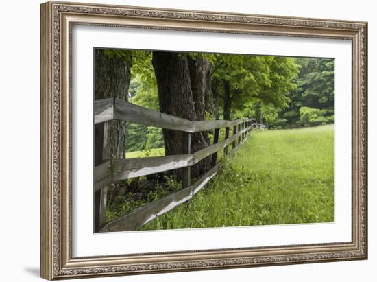 Split Rail Fence-Brenda Petrella Photography LLC-Framed Giclee Print