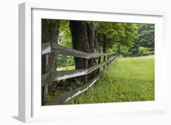 Split Rail Fence-Brenda Petrella Photography LLC-Framed Giclee Print