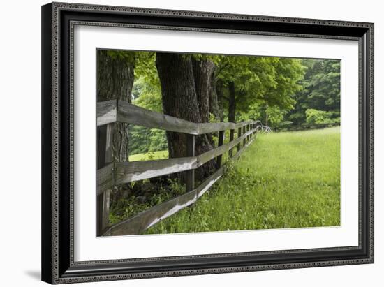 Split Rail Fence-Brenda Petrella Photography LLC-Framed Giclee Print