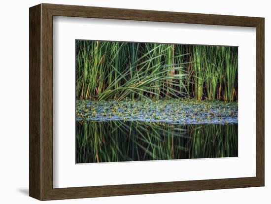 Splitting Reeds-Bob Larson-Framed Art Print