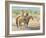 Splitting the Herd-LaVere Hutchings-Framed Giclee Print