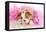 Spoiled Dog - English Bulldog Puppy Chewing On Tiara Surrounded By Pink Feathers-Willee Cole-Framed Premier Image Canvas