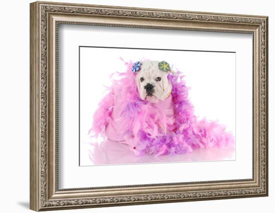 Spoiled Puppy-Willee Cole-Framed Photographic Print