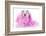 Spoiled Puppy-Willee Cole-Framed Photographic Print