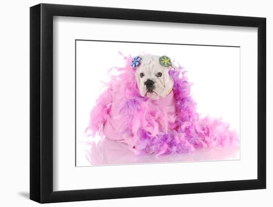 Spoiled Puppy-Willee Cole-Framed Photographic Print