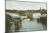 Spokane, WA - View of Middle Falls & River-Lantern Press-Mounted Art Print