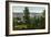 Spokane, Washington - Aerial View of City through the Woods-Lantern Press-Framed Art Print