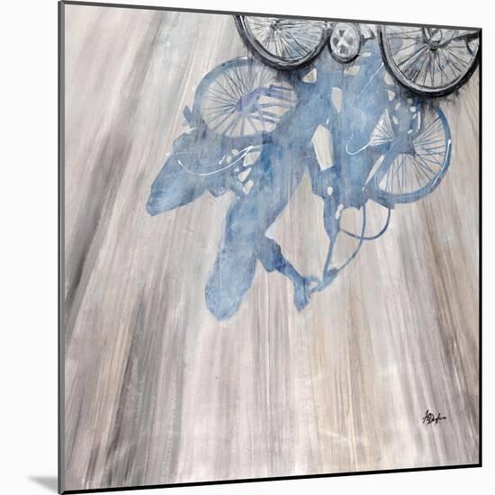 Spokes-Farrell Douglass-Mounted Giclee Print