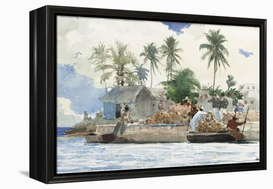 Sponge Fisherman, Bahamas-Winslow Homer-Framed Premier Image Canvas