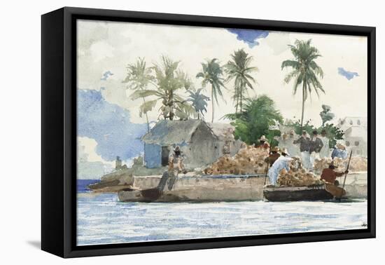 Sponge Fisherman, Bahamas-Winslow Homer-Framed Premier Image Canvas