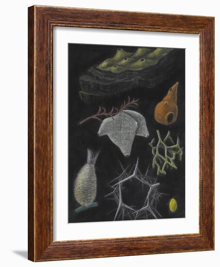 Sponges-Philip Henry Gosse-Framed Giclee Print