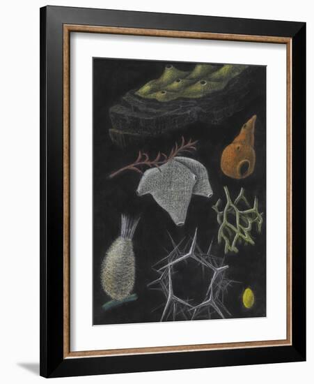 Sponges-Philip Henry Gosse-Framed Giclee Print