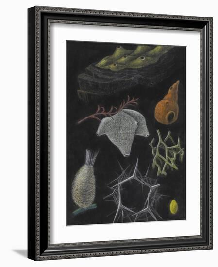 Sponges-Philip Henry Gosse-Framed Giclee Print