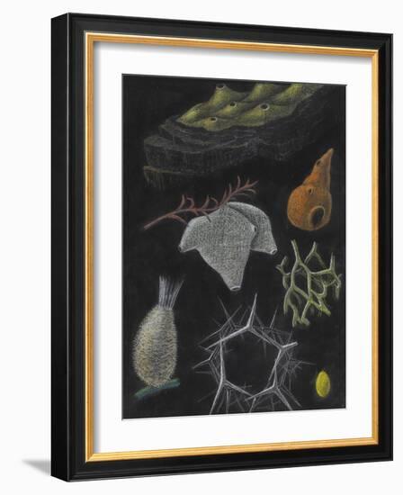 Sponges-Philip Henry Gosse-Framed Giclee Print