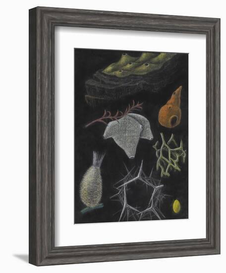 Sponges-Philip Henry Gosse-Framed Giclee Print