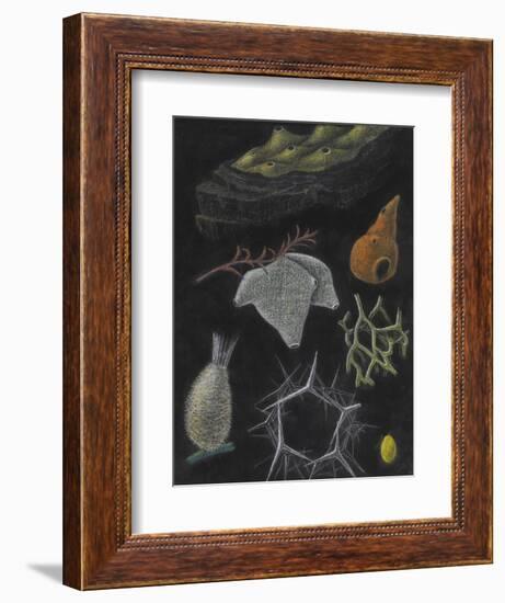 Sponges-Philip Henry Gosse-Framed Giclee Print