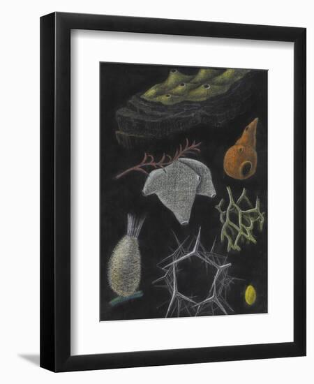 Sponges-Philip Henry Gosse-Framed Giclee Print