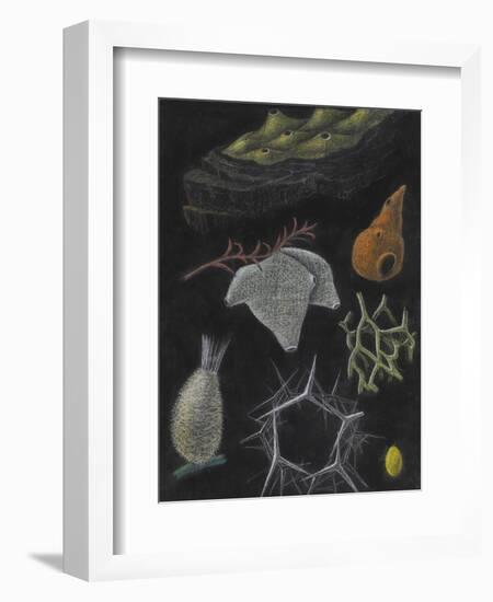 Sponges-Philip Henry Gosse-Framed Giclee Print