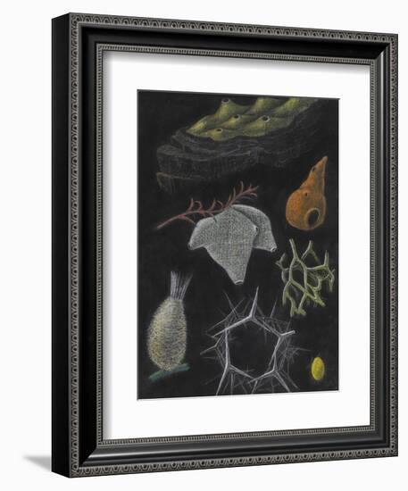 Sponges-Philip Henry Gosse-Framed Giclee Print