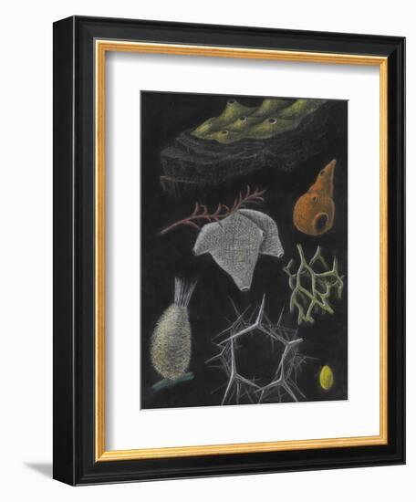 Sponges-Philip Henry Gosse-Framed Giclee Print