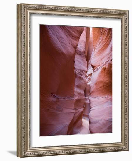 Spooky Gulch, Grand Staircase Escalante National Monument, Utah, USA-Jamie & Judy Wild-Framed Photographic Print