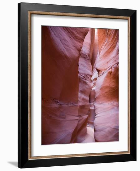 Spooky Gulch, Grand Staircase Escalante National Monument, Utah, USA-Jamie & Judy Wild-Framed Photographic Print