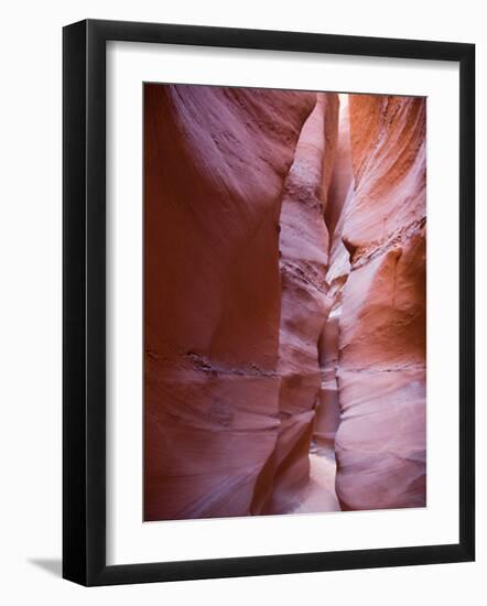 Spooky Gulch, Grand Staircase Escalante National Monument, Utah, USA-Jamie & Judy Wild-Framed Photographic Print