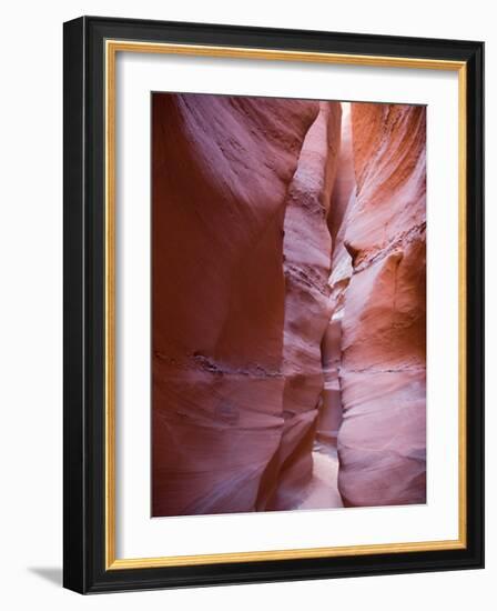 Spooky Gulch, Grand Staircase Escalante National Monument, Utah, USA-Jamie & Judy Wild-Framed Photographic Print