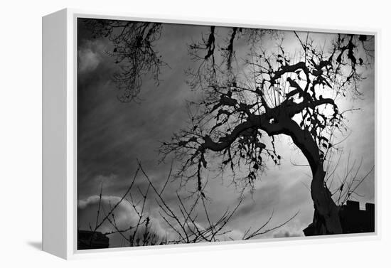 Spooky Tree-null-Framed Stretched Canvas