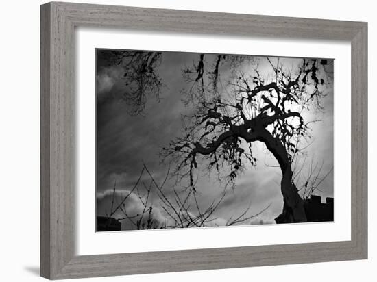 Spooky Tree-null-Framed Photo