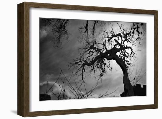 Spooky Tree-null-Framed Photo