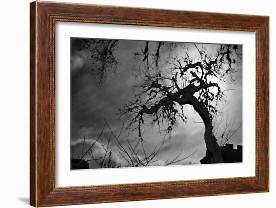 Spooky Tree-null-Framed Photo