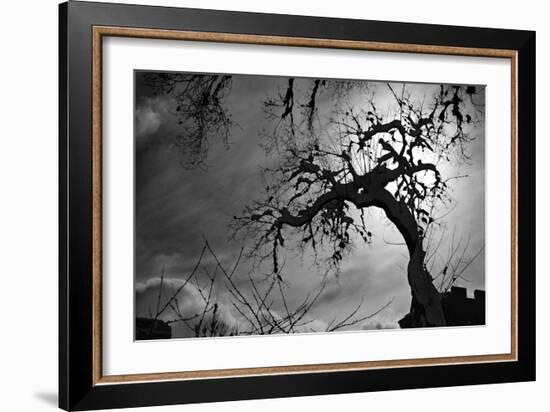 Spooky Tree-null-Framed Photo