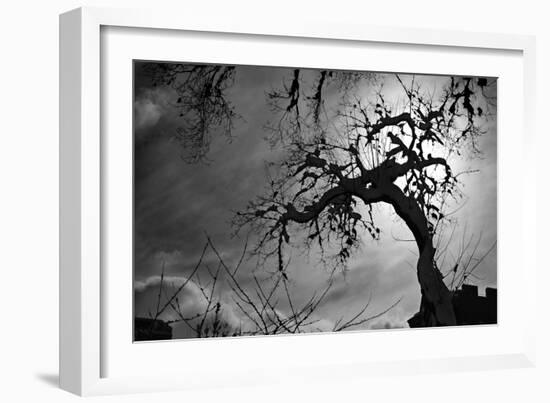 Spooky Tree-null-Framed Photo